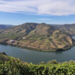 From Pinhão: Douro Valley Tour w/ Wine Tasting and Boat Trip - Why This Tour Offers Good Value