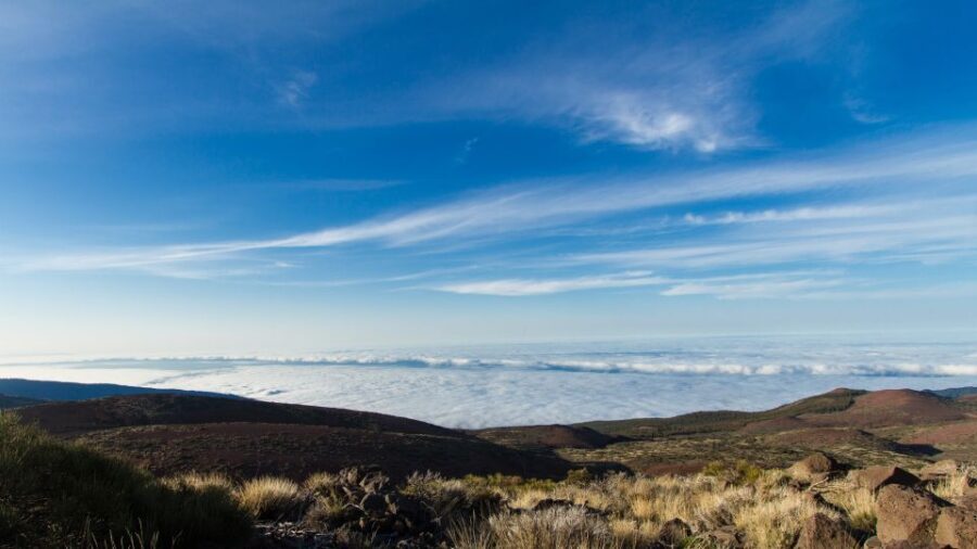 From Playa de las Américas: Full-Day Teide Jeep Safari
