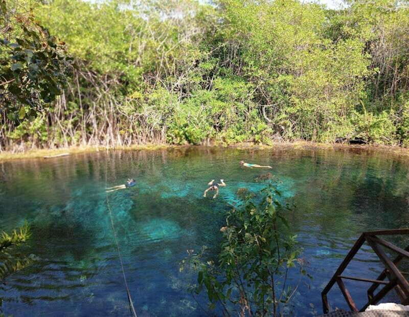 From Playa del Carmen: Tulum Cenote - The Beauty of Riviera Maya’s Cenotes