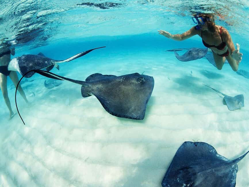 From Playa del Carmen: Xcaret Plus Park, the complete experience - The Sum Up