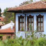 From Plovdiv to Sofia: Koprivshtitsa half-day tour - Why This Tour Works for Travelers