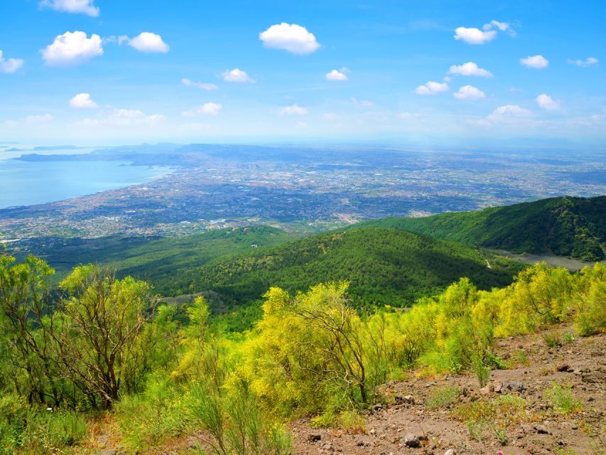From Pompeii: Bus Transfer to Vesuvius with Park Entry Fee - Final Thoughts