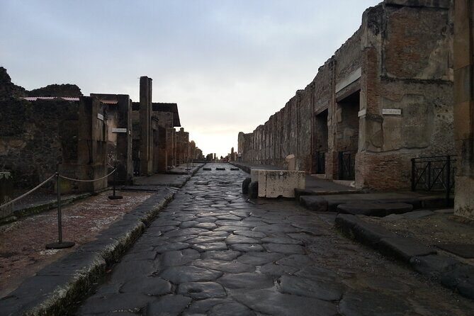 From Pompeii: Full Day Visit of Pompeii and the Mount Vesuvius - Who is This Tour Best For?