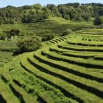 From Ponta Delgada: Furnas Guided Day Trip & 4x4 Adventure - The Sum Up
