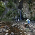 From Ponta Delgada: Guided Walking Tour to Salto do Cabrito - In-Depth Review: What Makes This Tour Stand Out