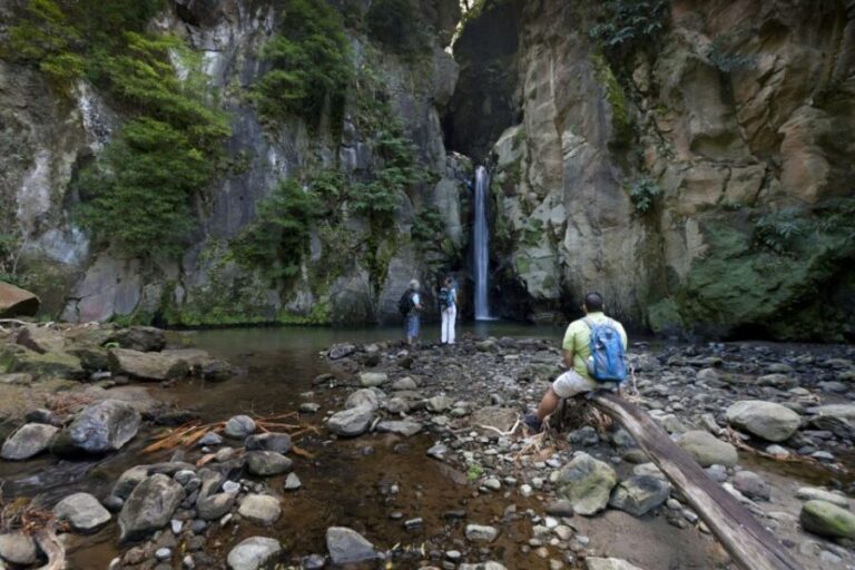 From Ponta Delgada: Guided Walking Tour to Salto do Cabrito - In-Depth Review: What Makes This Tour Stand Out