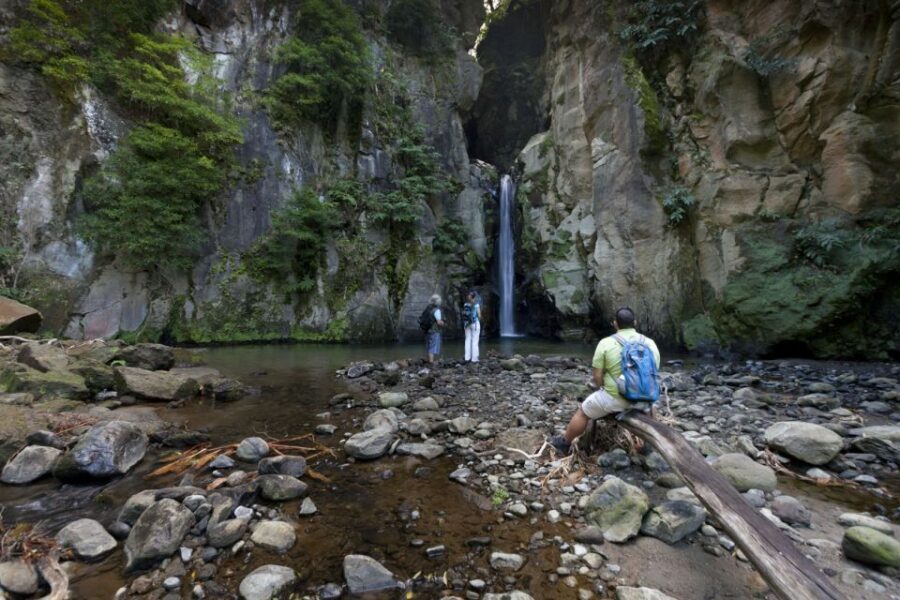 From Ponta Delgada: Guided Walking Tour to Salto do Cabrito - In-Depth Review: What Makes This Tour Stand Out