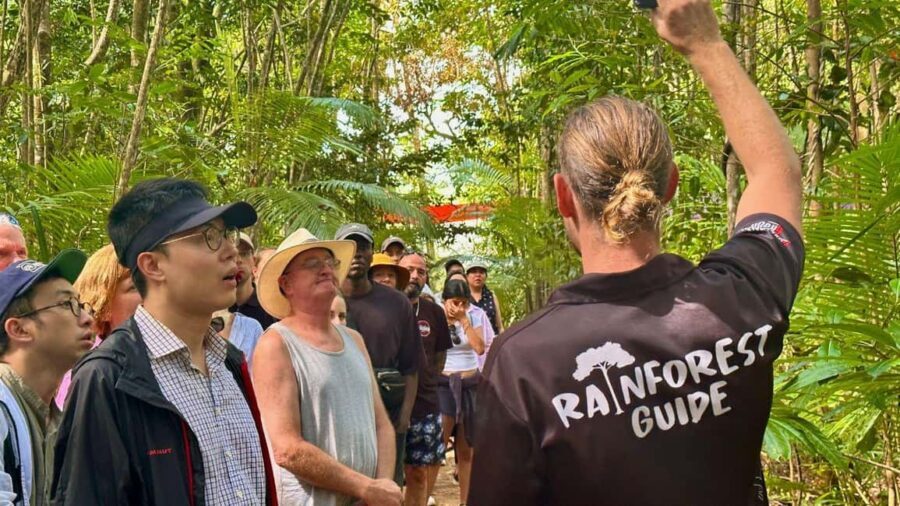 From Port Douglas: Daintree Rainforest & Mossman Gorge Tour - Authentic Experiences and Practical Details