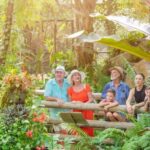 From Port Douglas: Hartley's Crocodile Park, Skyrail & Train - The Sum Up