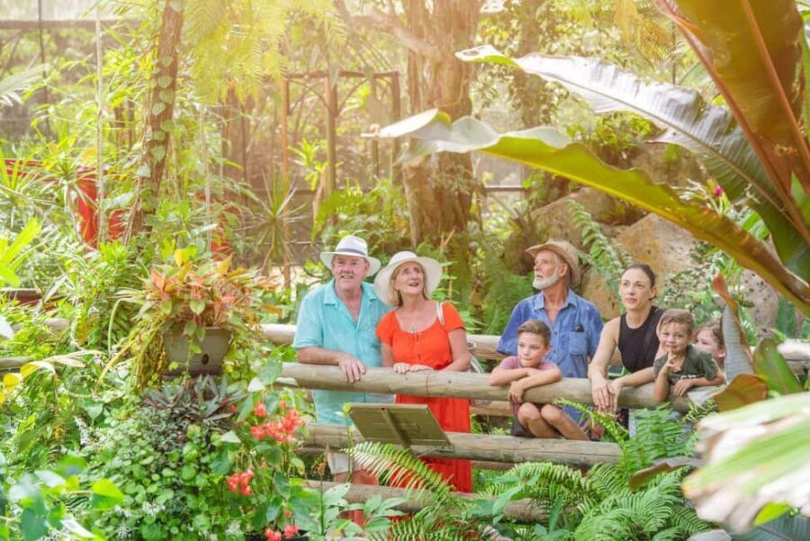 From Port Douglas: Hartley's Crocodile Park, Skyrail & Train - The Sum Up