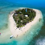 From Port Douglas: Low Isles Great Barrier Reef Sailing Tour - Who Would Love This Tour?