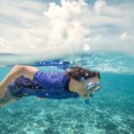 From Port Douglas: Outer Reef Cruise by Luxury Catamaran - What Makes This Tour Stand Out?