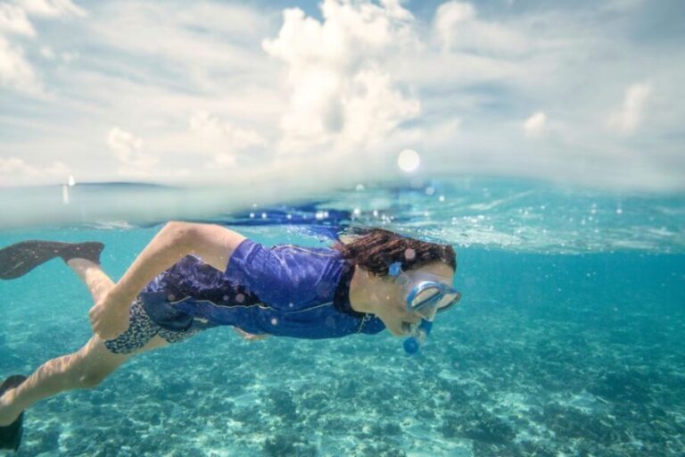 From Port Douglas: Outer Reef Cruise by Luxury Catamaran - What Makes This Tour Stand Out?