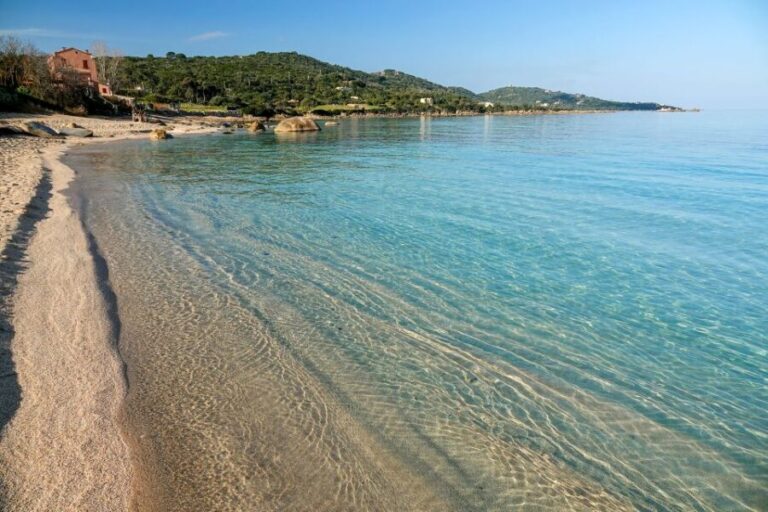 From Porticcio: Speedboat Tour to Cupabia Beach with Stops - An In-Depth Look at the Speedboat Experience