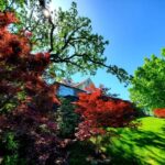 From Portland: Full Day Gorge Waterfalls & Mt. Hood Tour - Exploring Oregon’s Waterfalls and Mt. Hood in Depth
