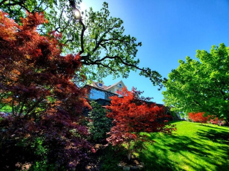 From Portland: Full Day Gorge Waterfalls & Mt. Hood Tour - Exploring Oregon’s Waterfalls and Mt. Hood in Depth