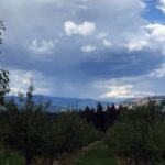 From Portland: Mt Hood, Hood River Valley and Columbia Gorge - Exploring the Tour in Detail