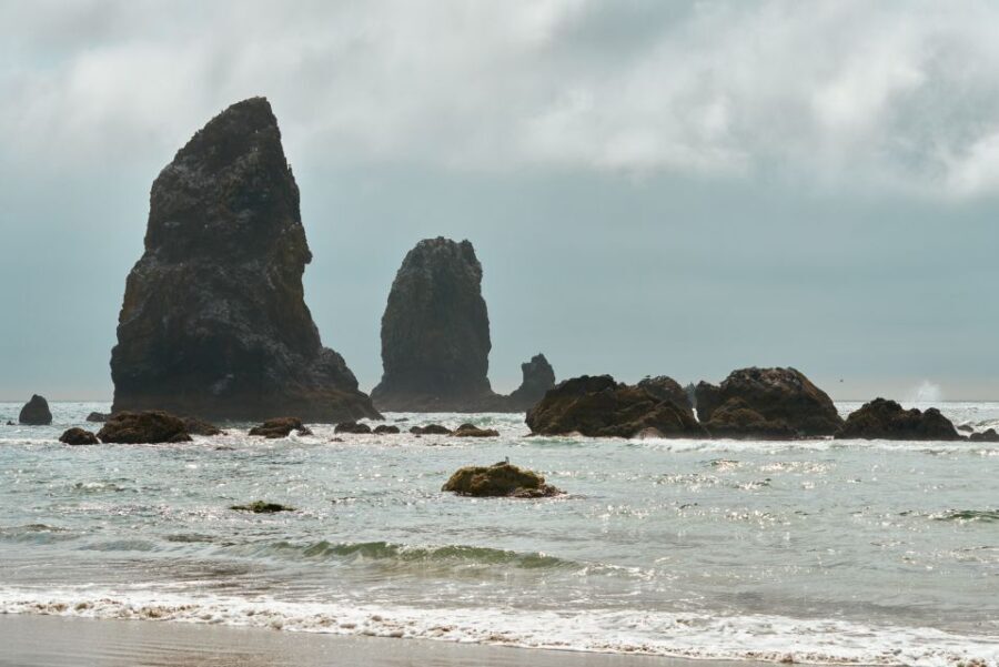From Portland: Oregon Coast Day Trip Cannon Beach Area - What Makes This Tour Special?