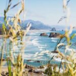 From Portland: Oregon Coast Tour - Authentic Experiences and Genuine Insights