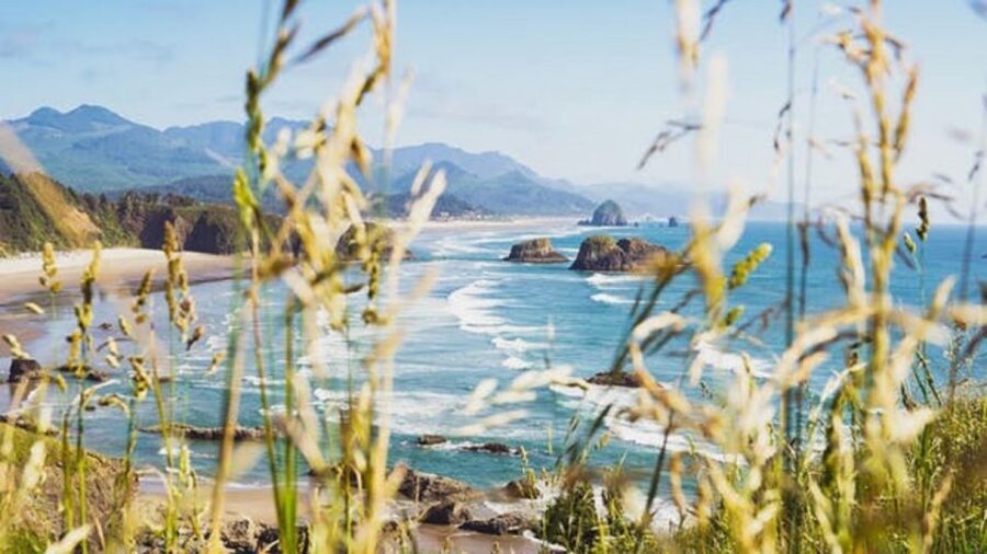 From Portland: Oregon Coast Tour - Authentic Experiences and Genuine Insights