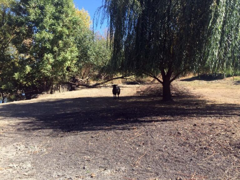 From Portland: Willamette Valley Wine & Whisky - What to Expect at Each Stop