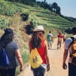 From Porto a private experience to Niepoort with lunch there - What’s Included and What to Bring