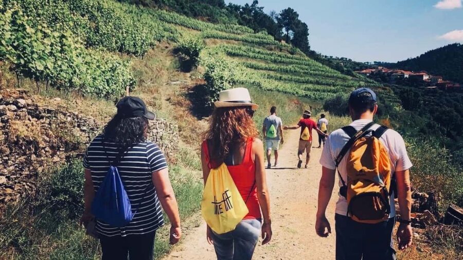 From Porto a private experience to Niepoort with lunch there - What’s Included and What to Bring