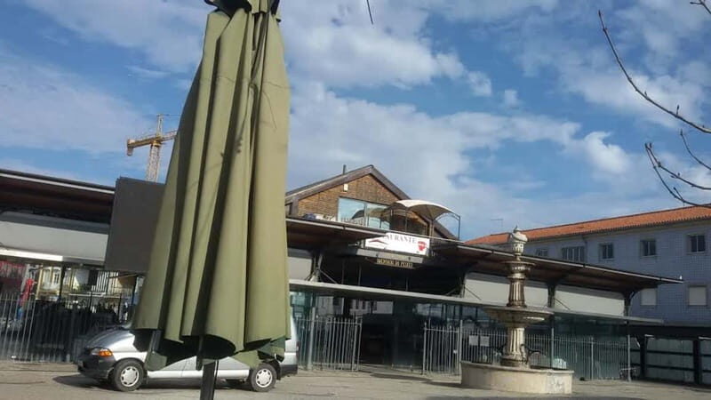 From Porto: Aveiro & Coimbra Tour with Moliceiro Boat Cruise - Who is this tour best suited for?
