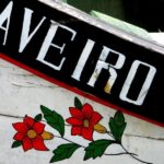 From Porto: Aveiro Half-Day Tour with 1-Hour Cruise - A Deep Dive into the Aveiro Half-Day Tour
