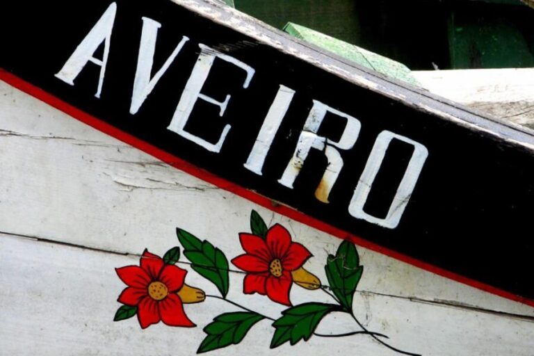 From Porto: Aveiro Half-Day Tour with 1-Hour Cruise - A Deep Dive into the Aveiro Half-Day Tour