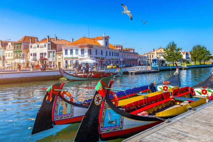 From Porto: Aveiro Half Day Tour - What Past Travelers Say