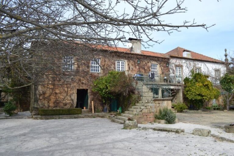 From Porto: Douro Valley 3 Vineyards Tour with Lunch - What We Think the Tour Excels At