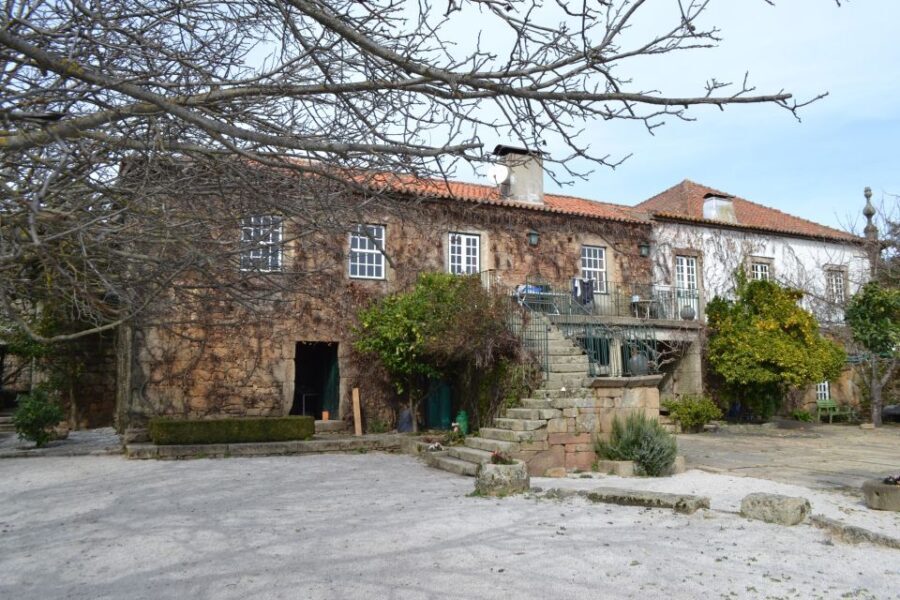 From Porto: Douro Valley 3 Vineyards Tour with Lunch - What We Think the Tour Excels At