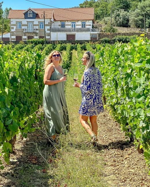From Porto: Douro Valley Private Tour w/ 3 Wineries & Lunch - A Detailed Look at the Tour Experience