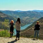 From Porto: Douro Valley Wine Tour with River Cruise & Lunch - Who Will Love This Tour?