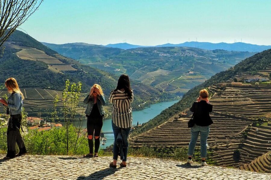 From Porto: Douro Valley Wine Tour with River Cruise & Lunch - Who Will Love This Tour?