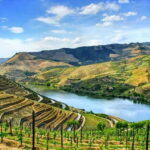 From Porto: Douro Valley with Wineries, Lunch and Boat Trip - What Makes This Tour Stand Out?