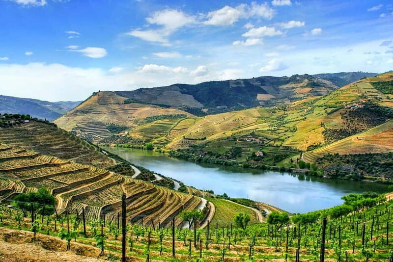 From Porto: Douro Valley with Wineries, Lunch and Boat Trip - What Makes This Tour Stand Out?