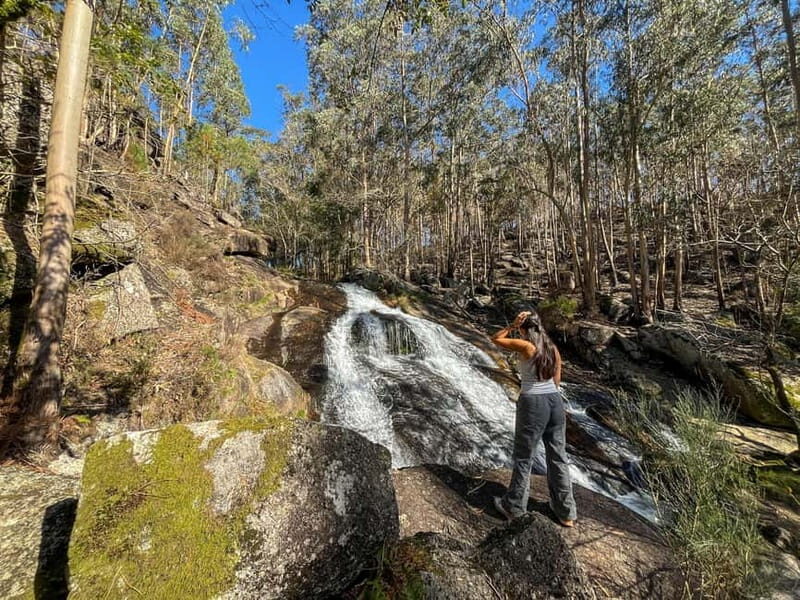 From Porto: Forest Waterfalls & Roman Ruins Trail Tour - What Makes This Tour Stand Out?