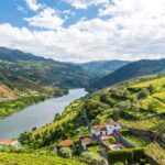 From Porto: Full-Day Douro Historical Tour - Exploring the Douro Region: What You Can Expect