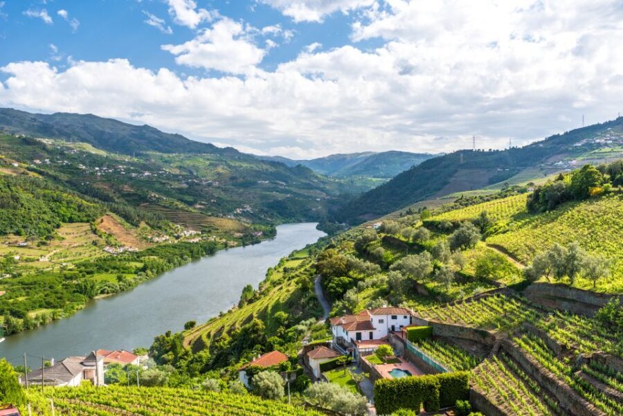 From Porto: Full-Day Douro Historical Tour - Exploring the Douro Region: What You Can Expect
