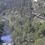 From Porto: Full-Day Paiva Walkways Tour with DOP Beef lunch - What Travelers Are Saying