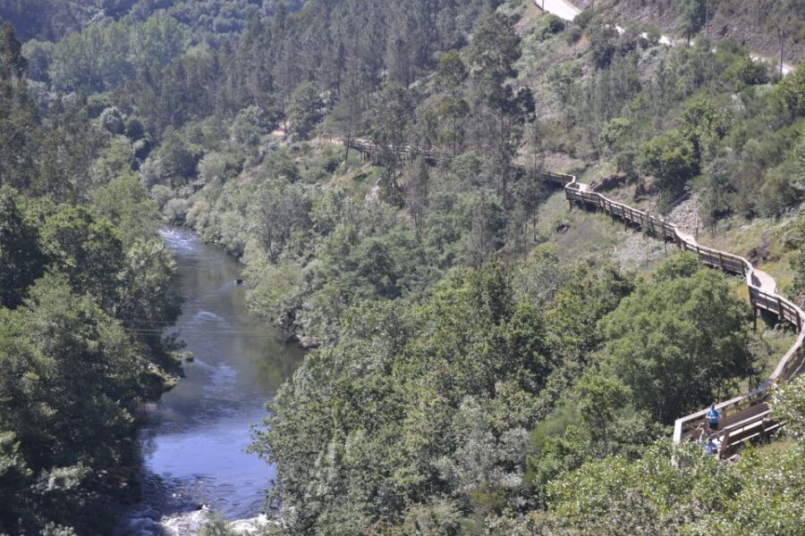 From Porto: Full-Day Paiva Walkways Tour with DOP Beef lunch - What Travelers Are Saying