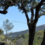 From Porto: Guided Tour of the 516 Arouca Suspension Bridge and Paiva Walkways - Is This Tour Worth It?