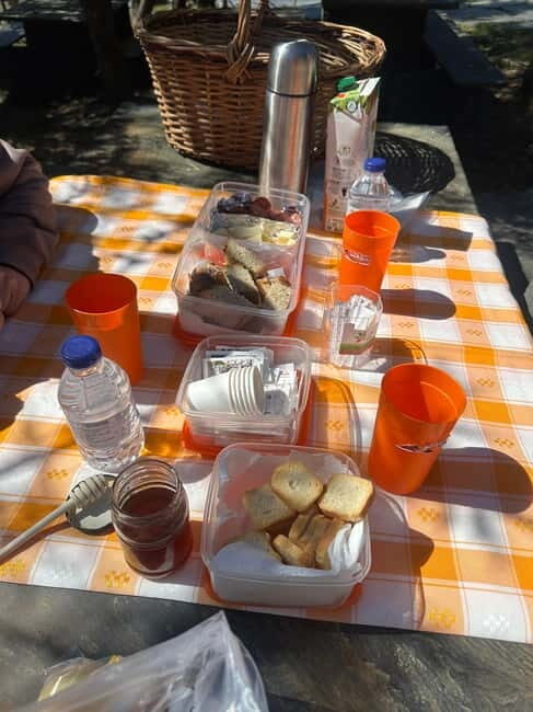 From Porto: Jeep Tour Ponte 516 Arouca + Vale do Paiva - A Detailed Look at What to Expect