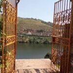 From Porto: luxury tour with full lunch at Quinta da Pacheca - Who Will Love This Tour?