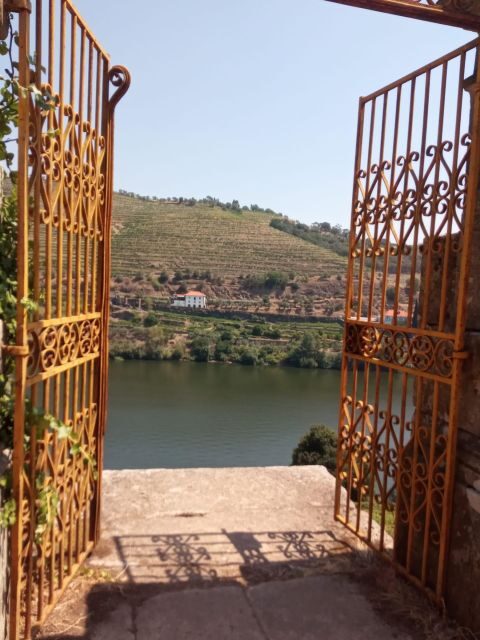 From Porto: luxury tour with full lunch at Quinta da Pacheca - Who Will Love This Tour?