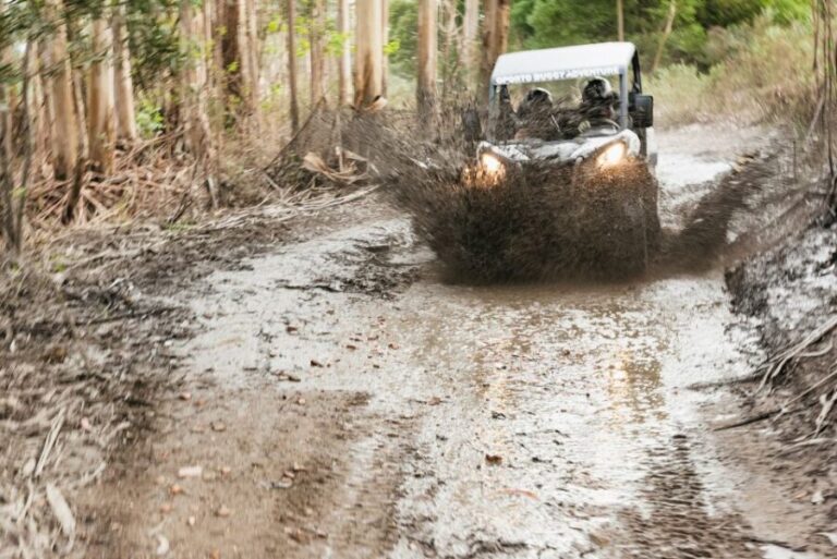 From Porto: Off-Road Buggy Adventure - What to Expect During the Tour