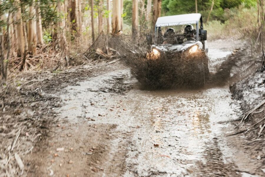 From Porto: Off-Road Buggy Adventure - What to Expect During the Tour