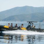 From Porto: Piana Creeks and Scandola Semi-Rigid Boat Tour - Who Should Consider This Tour?